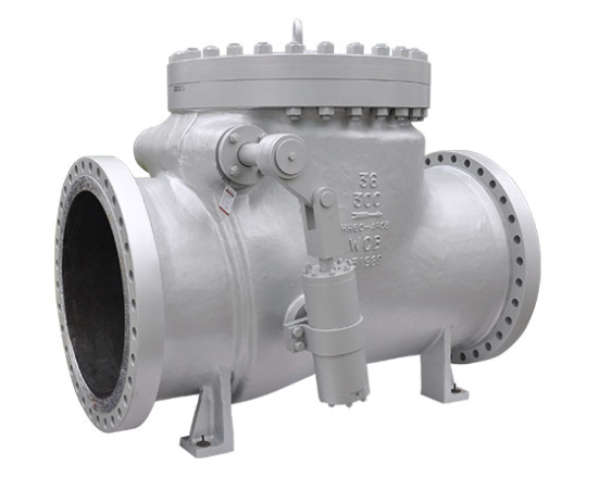 Swing check valve