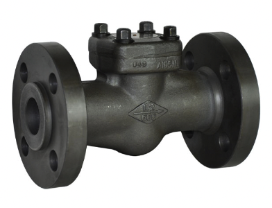 Forged steel check valve