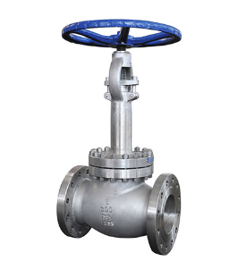 Low temperature check valve