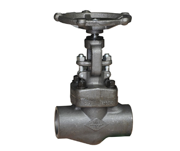 Forged steel globe valve